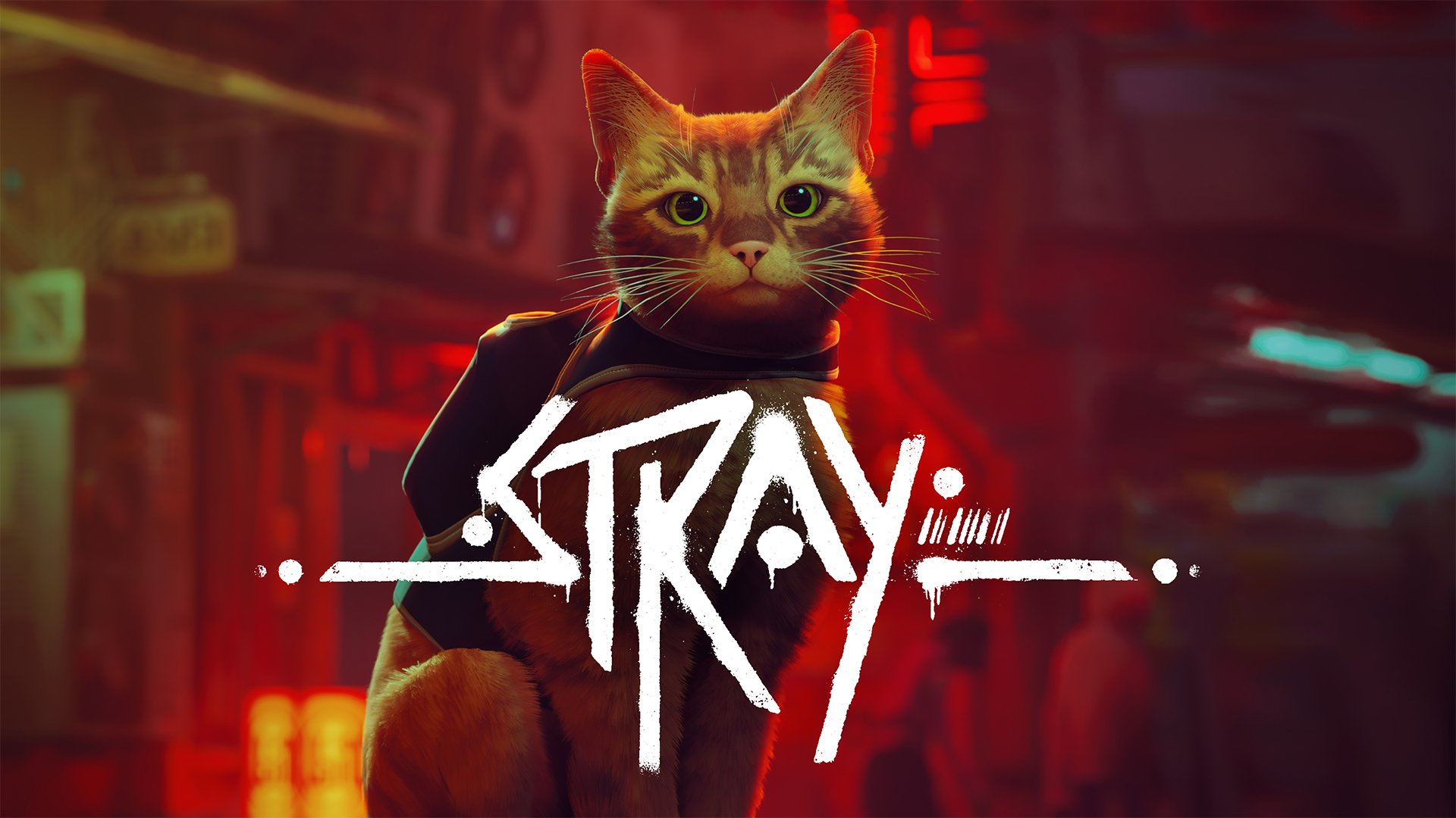 Strange Cats